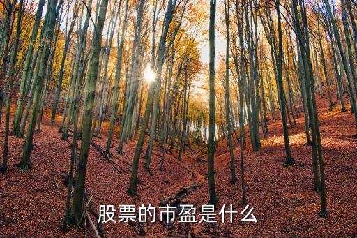股票的市盈是什么，股票的市盈是什么