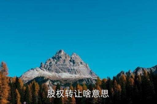 股权转让啥意思
