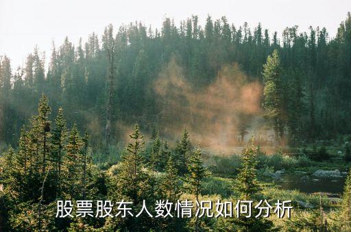 股票股东怎么分析，股票股东人数情况如何分析