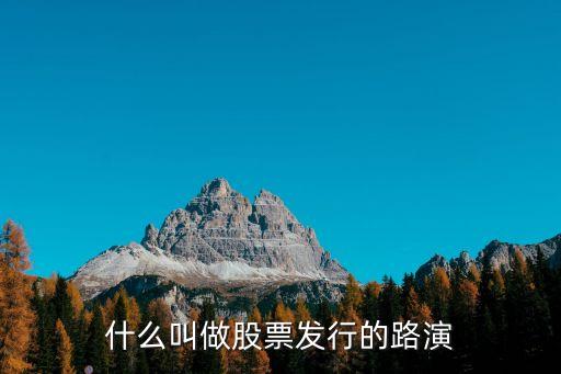 什么叫做股票发行的路演