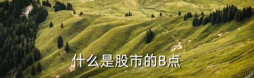 什么是股市的B点