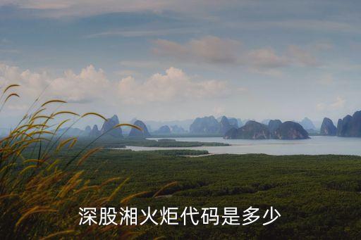 深股湘火炬代码是多少