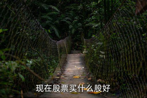 现在股票买什么股好