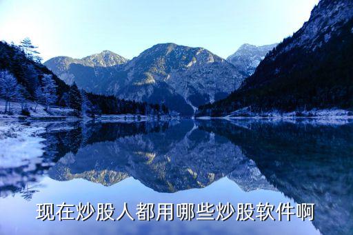 现在炒股人都用哪些炒股软件啊