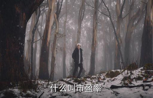 什么叫市盈率