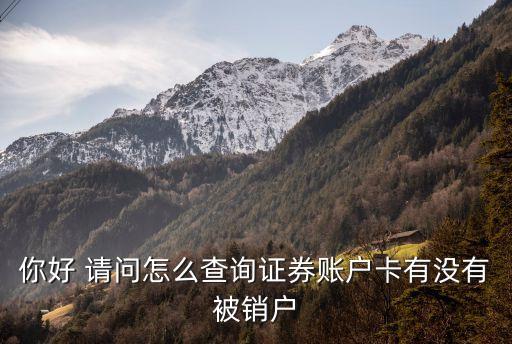 你好 请问怎么查询证券账户卡有没有被销户