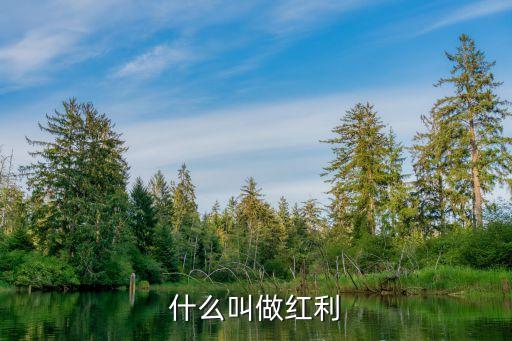 什么叫做红利