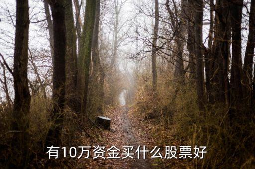 有10万资金买什么股票好