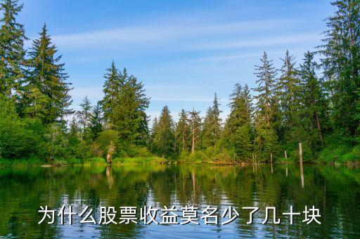 为什么股票收益莫名少了几十块