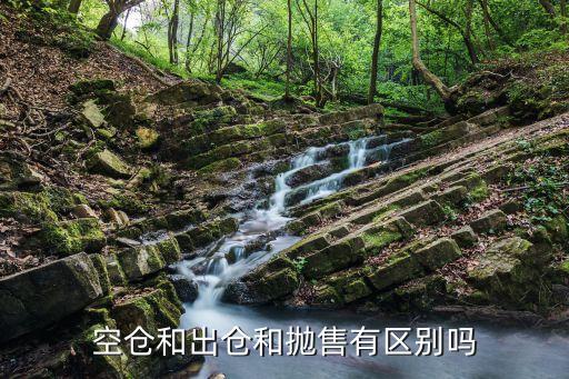 空仓和出仓和抛售有区别吗