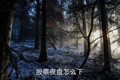股票夜盘怎么下