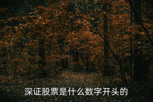 深圳股票是什么数字开头，深市股票代码是什么数开头