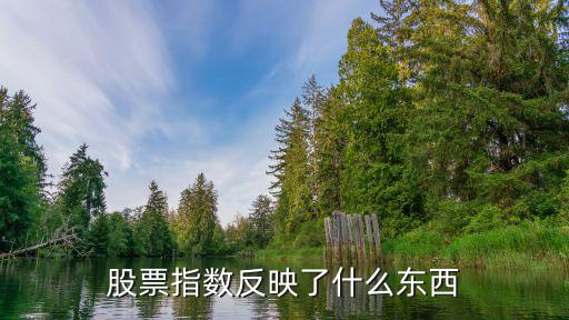 股票指数反映了什么东西