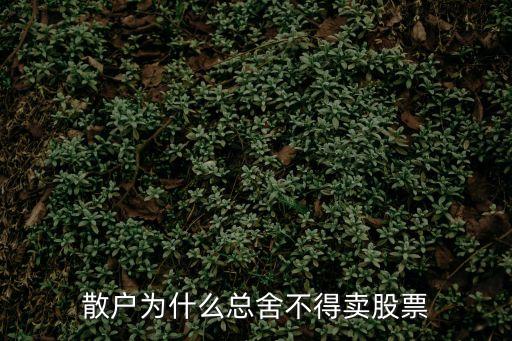 为什么买了股票不想卖，刚买的股票为什么卖不出去