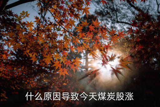 什么原因导致今天煤炭股涨