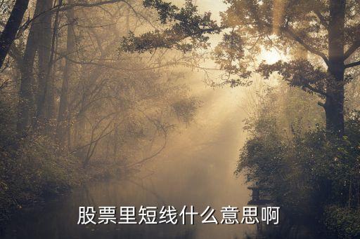 股票中的短线是什么，股票中短线是啥
