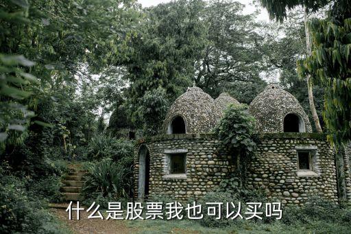 什么是股票我也可以买吗