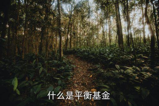 什么是平衡型股票基金，什么是平衡基金