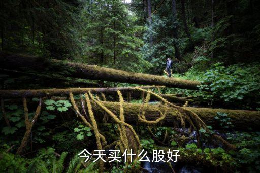 今天股票买什么好股，今天什么股票好