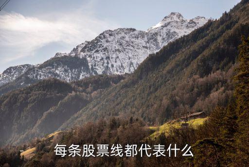 每条股票线都代表什么