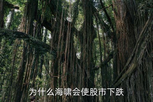 为什么海啸会使股市下跌