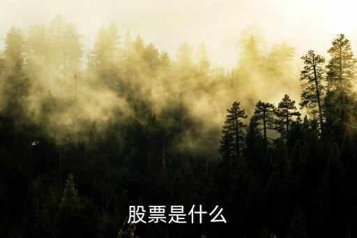 股票是什么