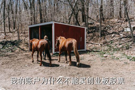 我的账户为什么不能买创业板股票