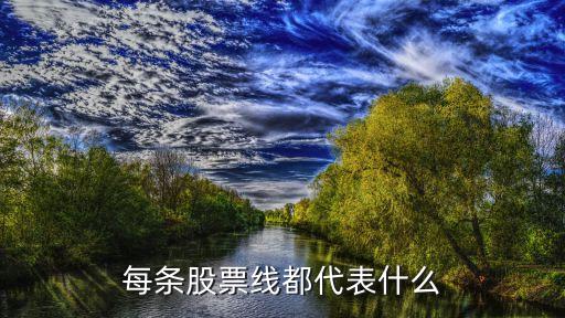 每条股票线都代表什么