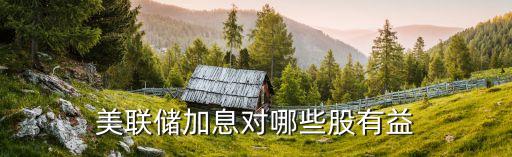 美国加息对什么股票好，美联储加息对哪些股有益