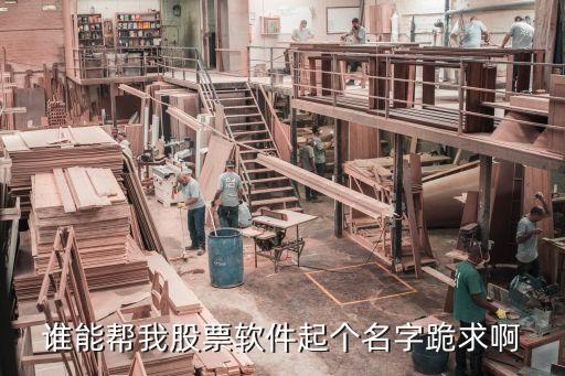 谁能帮我股票软件起个名字跪求啊