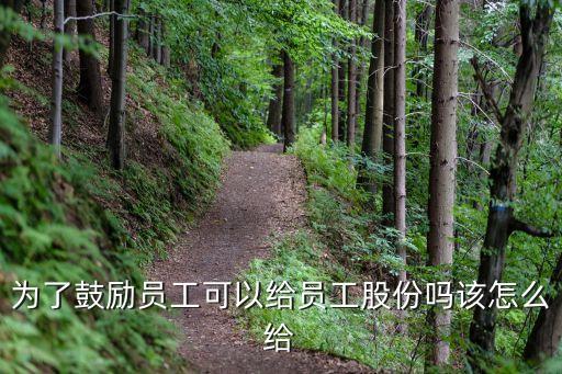 为了鼓励员工可以给员工股份吗该怎么给