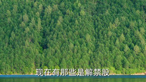现在有那些是解禁股