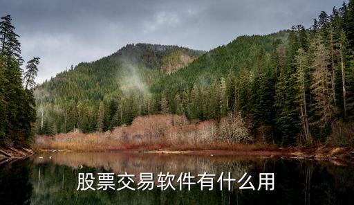 股票交易软件有什么用