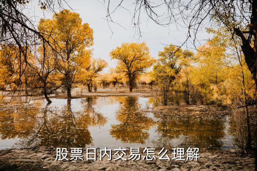 股票日内交易怎么理解