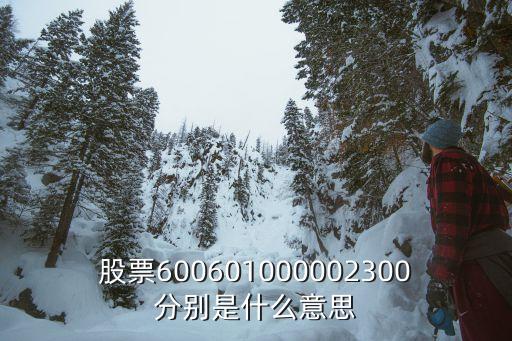 股票600601000002300分别是什么意思