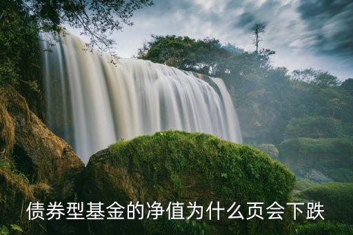 债券型基金的净值为什么页会下跌