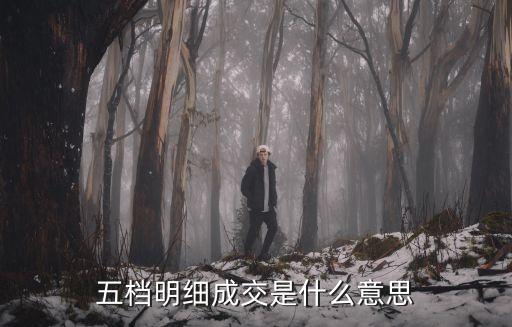 股票五档明细是什么意思，股票五档明细是什么意思
