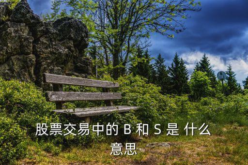 股票b什么意思，股票交易中的 B 和 S 是 什么意思
