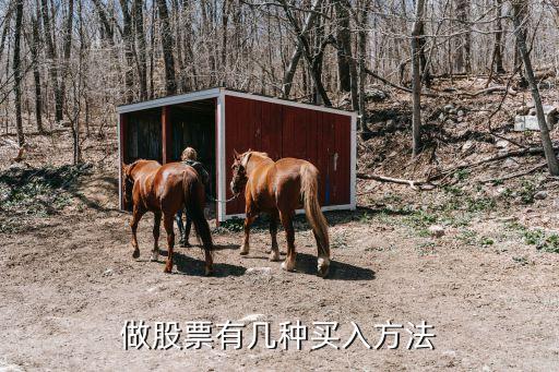 做股票有几种买入方法