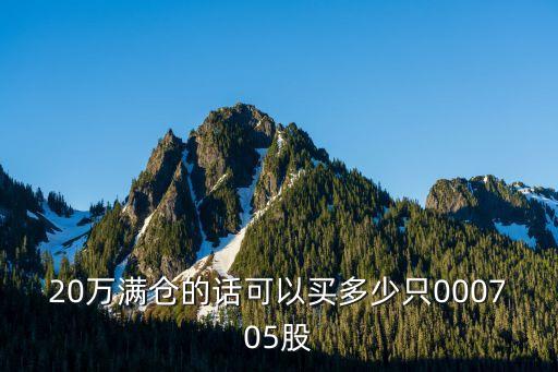20万满仓的话可以买多少只000705股