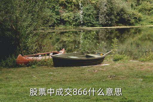 股票中成交866什么意思
