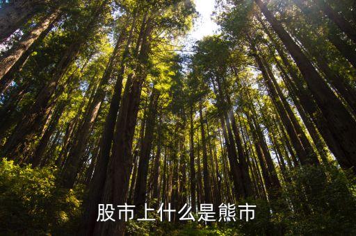 股票熊市是什么意思，炒股中熊市是什么意思啊