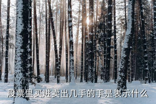 股票几手什么意思，股票里买进卖出几手的手是表示什么