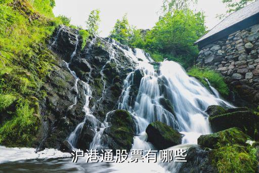 沪港通股票有哪些