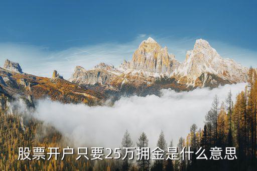 股票开户只要25万拥金是什么意思