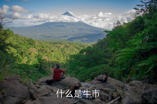股票牛市什么意思，什么是牛市