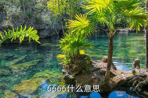 6666什么意思