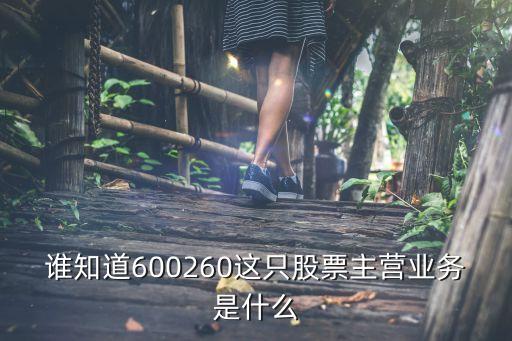 谁知道600260这只股票主营业务是什么
