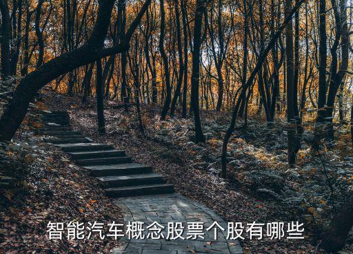 智能汽车概念股票个股有哪些