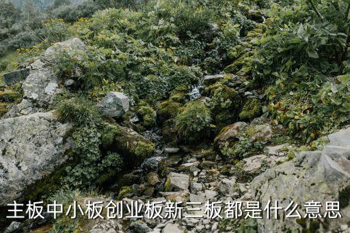 主板中小板创业板新三板都是什么意思